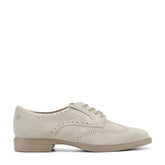 Rockport Men / Keegan Dress Wing Tip Lace-up Oxfords - Dark Stone Suede