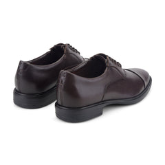 Rockport Men / Keefe Dress Cap Toe Lace-up Oxfords - Dark Brown Leather