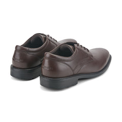 Rockport Men / Style Leader 2 Plain Toe Oxford - Dark Brown Leather