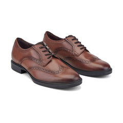 Rockport Men / Keegan Dress Wing Tip Lace-up Oxfords - Medium Natural Leather