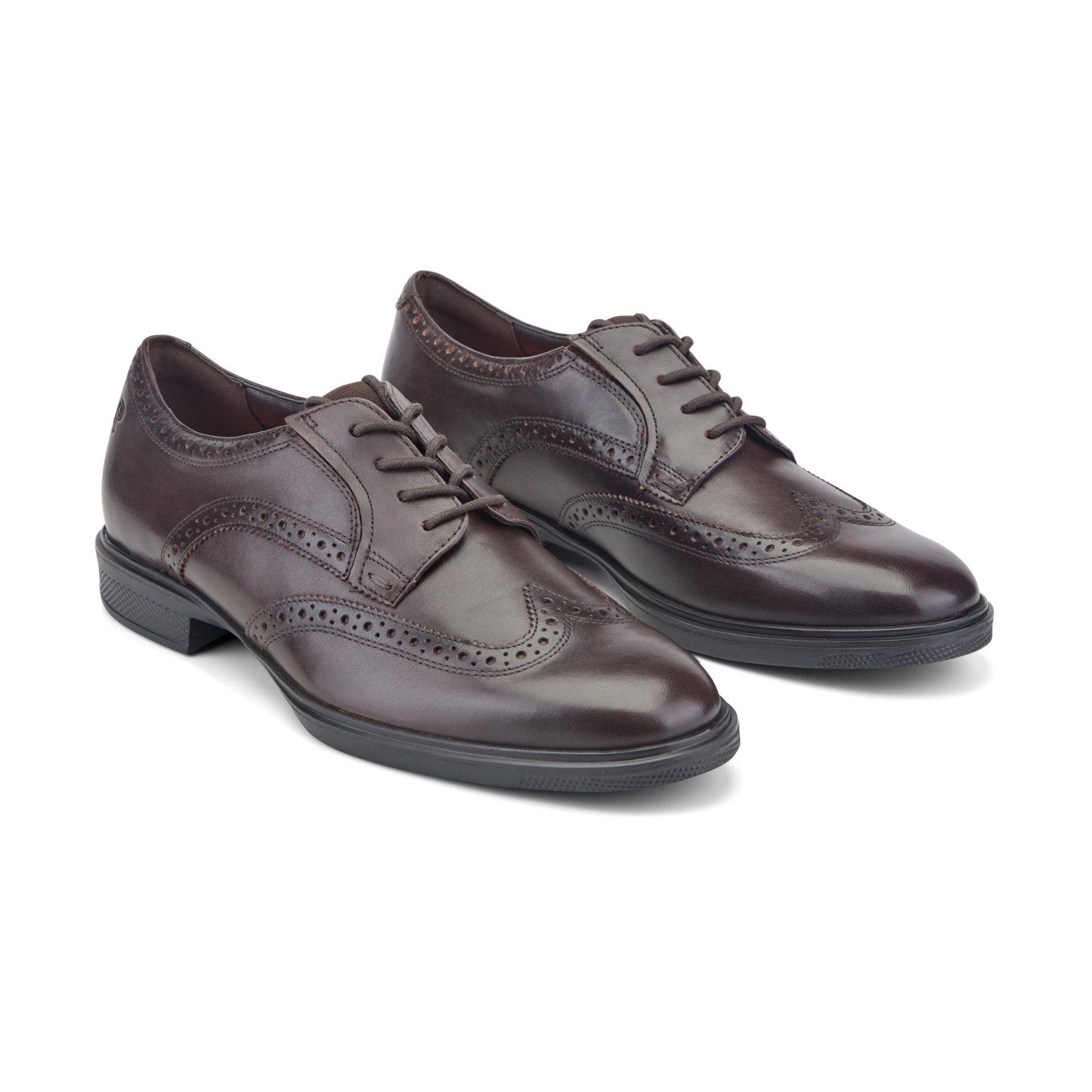 Rockport Men / Keegan Dress Wing Tip Lace-up Oxfords - Dark Brown Leather