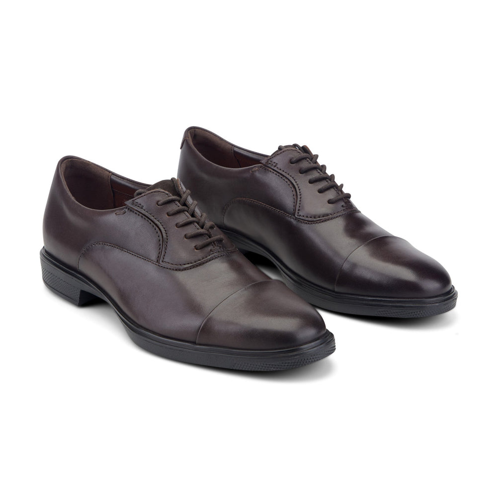 Rockport Men / Keefe Dress Cap Toe Lace-up Oxfords - Dark Brown Leather