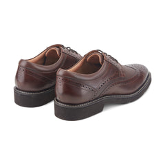 Rockport Men / Fallo Dress Lace-up Almond Toe Oxfords - Dark Brown Leather