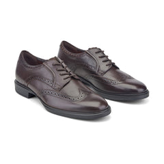 Rockport Men / Keegan Dress Wing Tip Lace-up Oxfords - Dark Brown Leather
