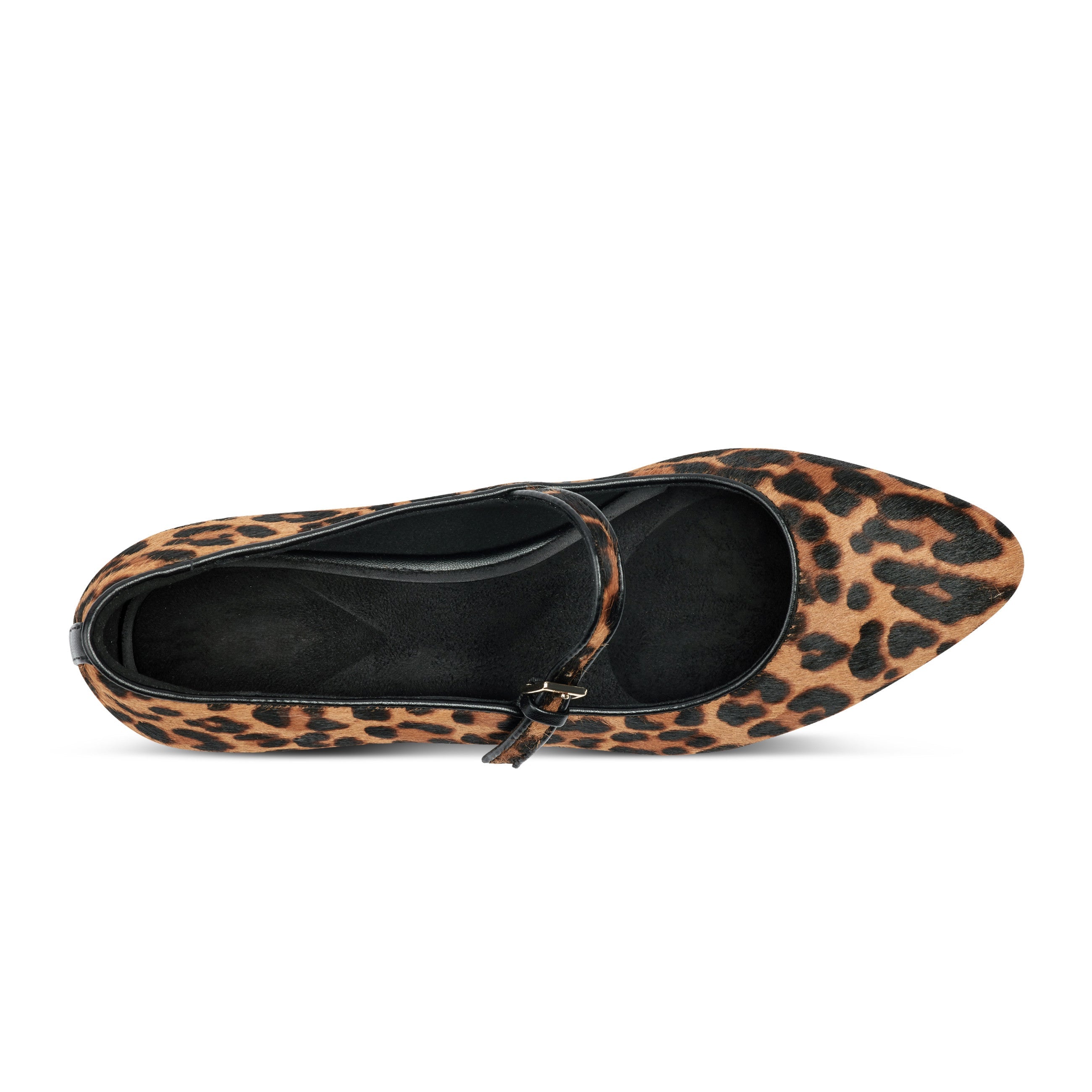 Rockport Women / Taren Total Motion Pointy Toe Dress Flats - Leopard