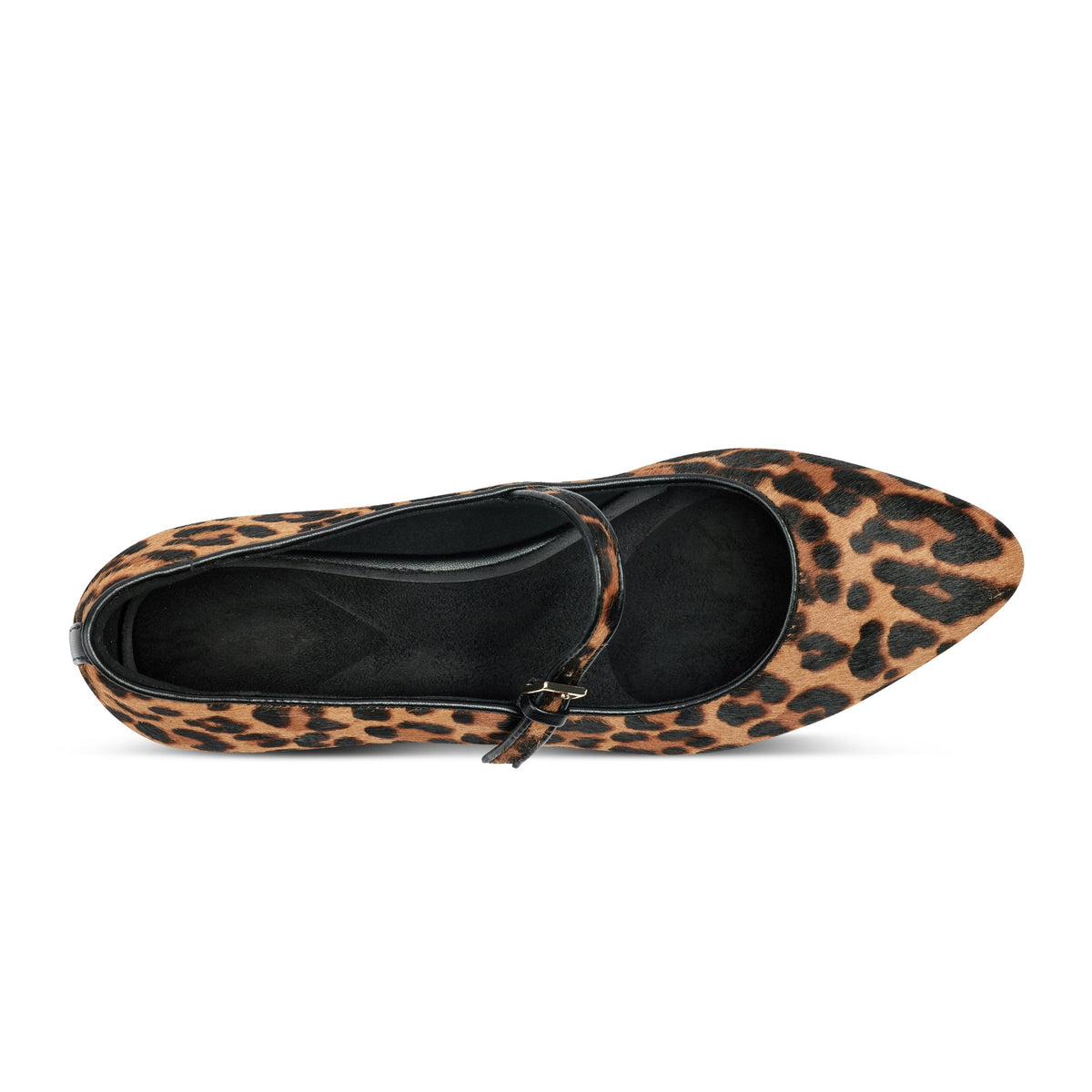 Rockport Women / Taren Total Motion Pointy Toe Dress Flats - Leopard