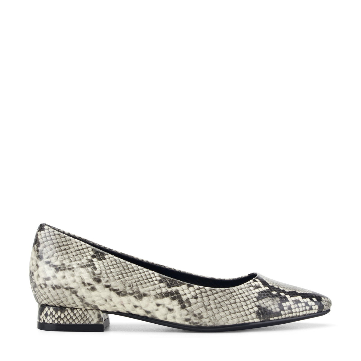 Rockport Women / Tessa Total Motion Pointy Toe Dress Flats - Black Snake Print