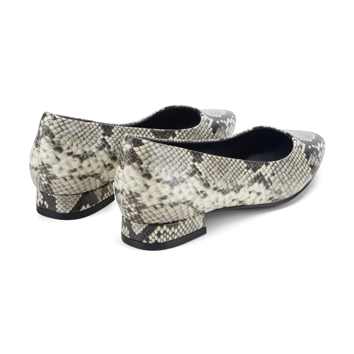 Rockport Women / Tessa Total Motion Pointy Toe Dress Flats - Black Snake Print
