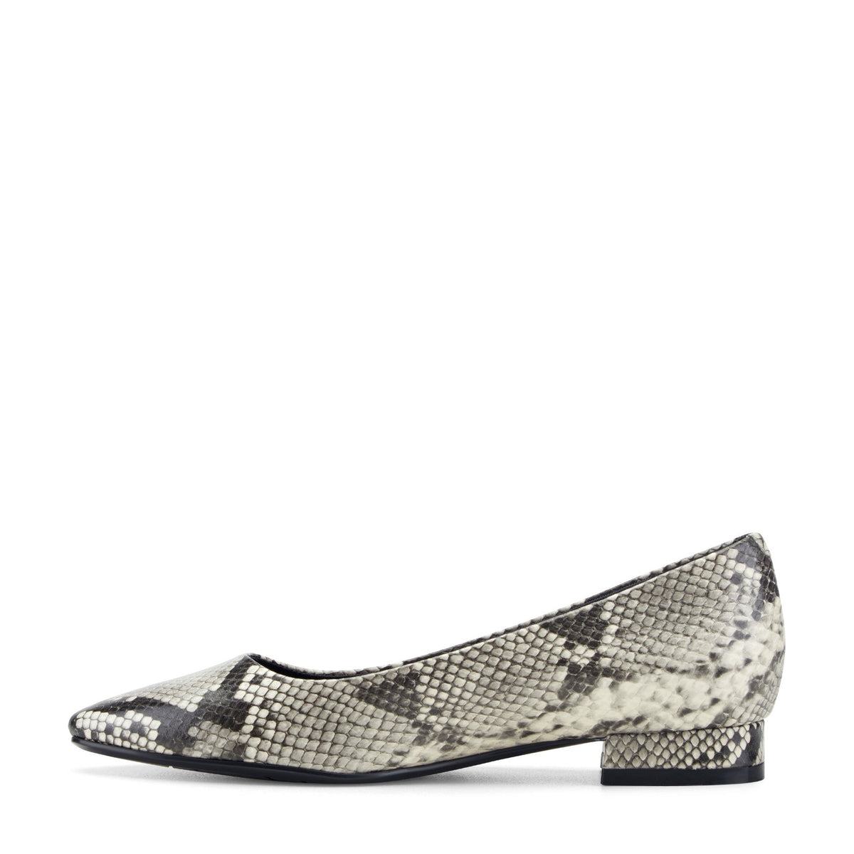 Rockport Women / Tessa Total Motion Pointy Toe Dress Flats - Black Snake Print